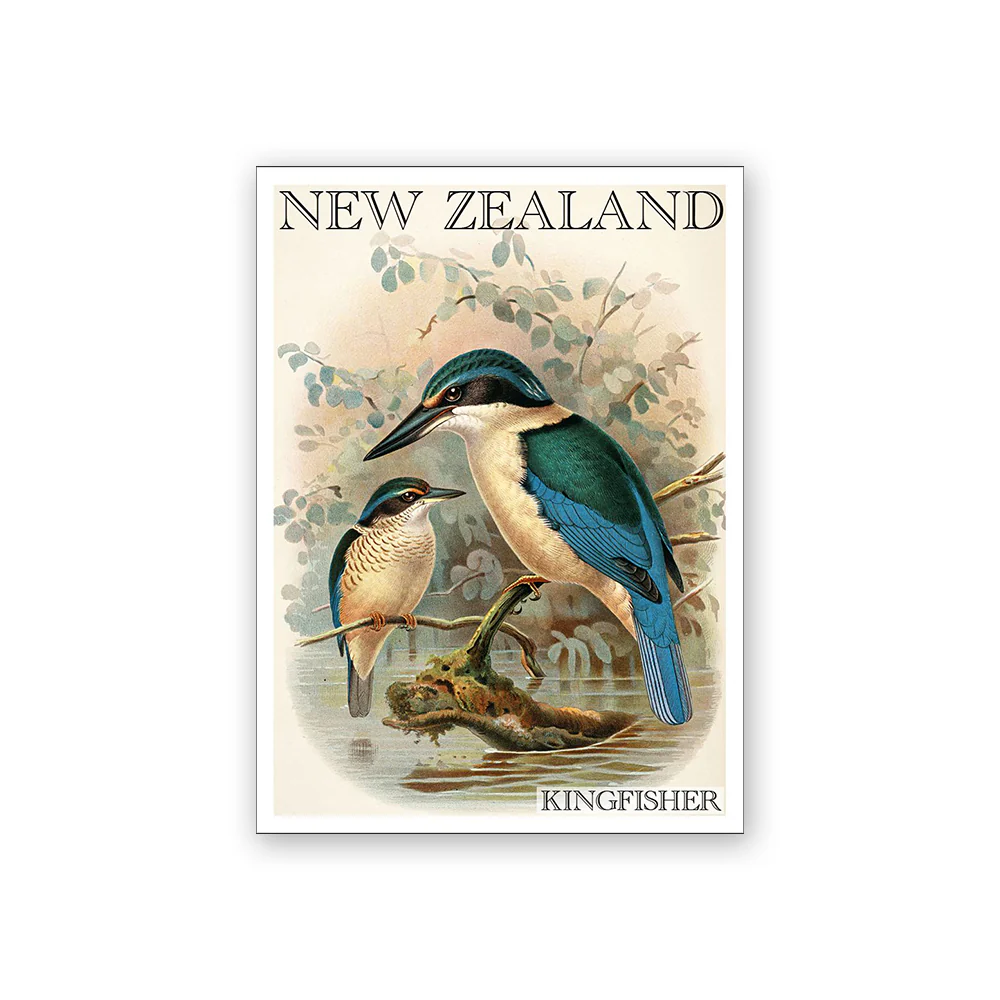 Art Magnet Bullers Kingfisher