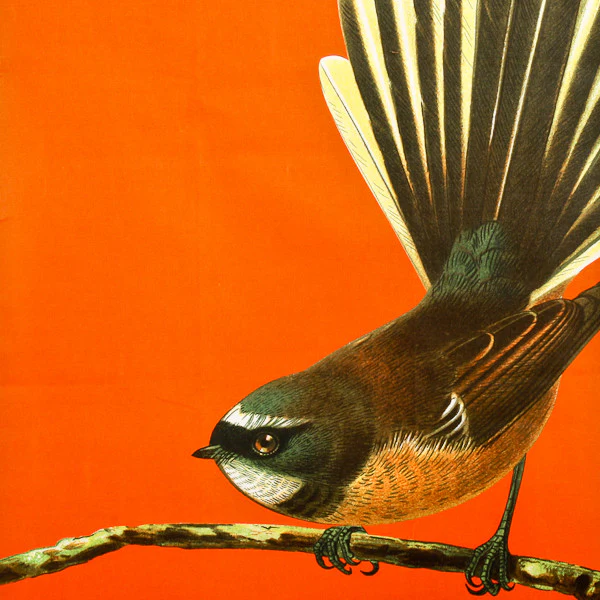 Bird Tea Towel Fantail Orange - Image 2