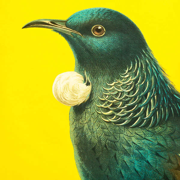 Bird Tea Towel Tūī Yellow - Image 2