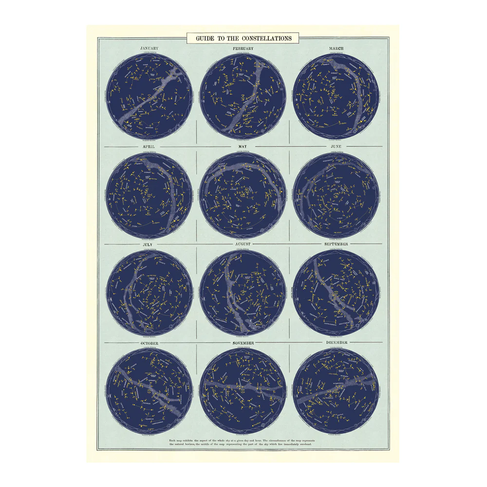 Cavallini Vintage Poster Guide to Constellations