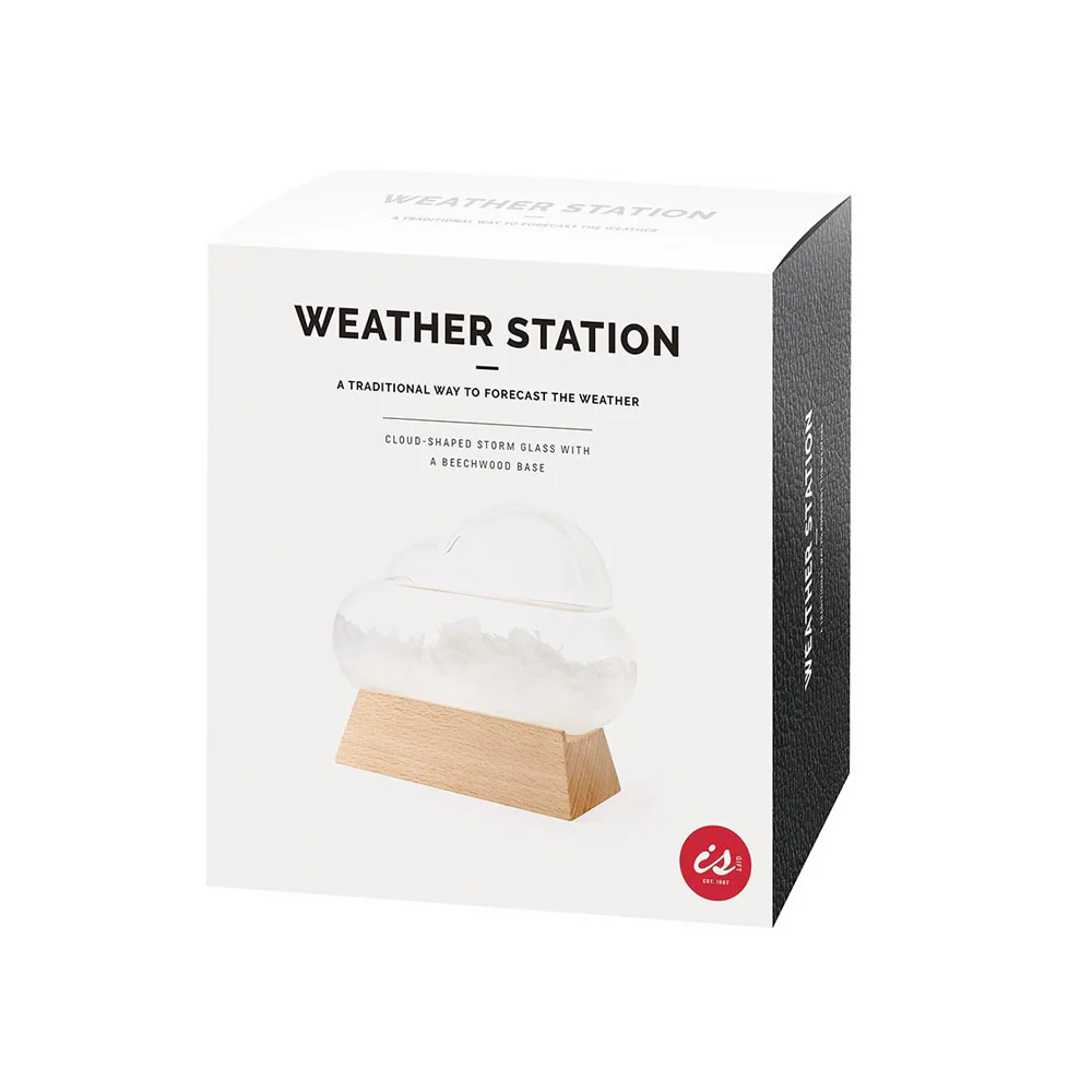 Cloud Shaped Weather Station - Image 2