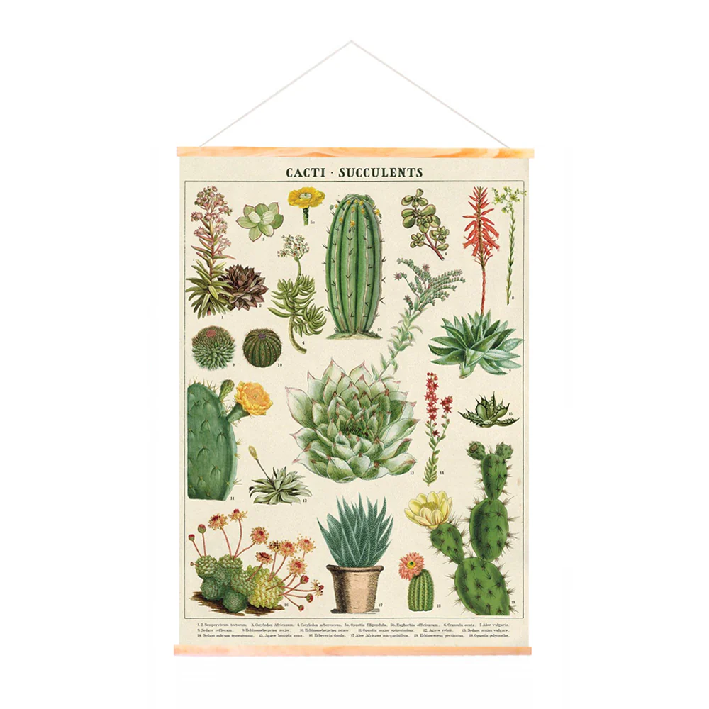 Iko Iko Wooden Poster Hanger Kit 52cm Cavallini - Image 2