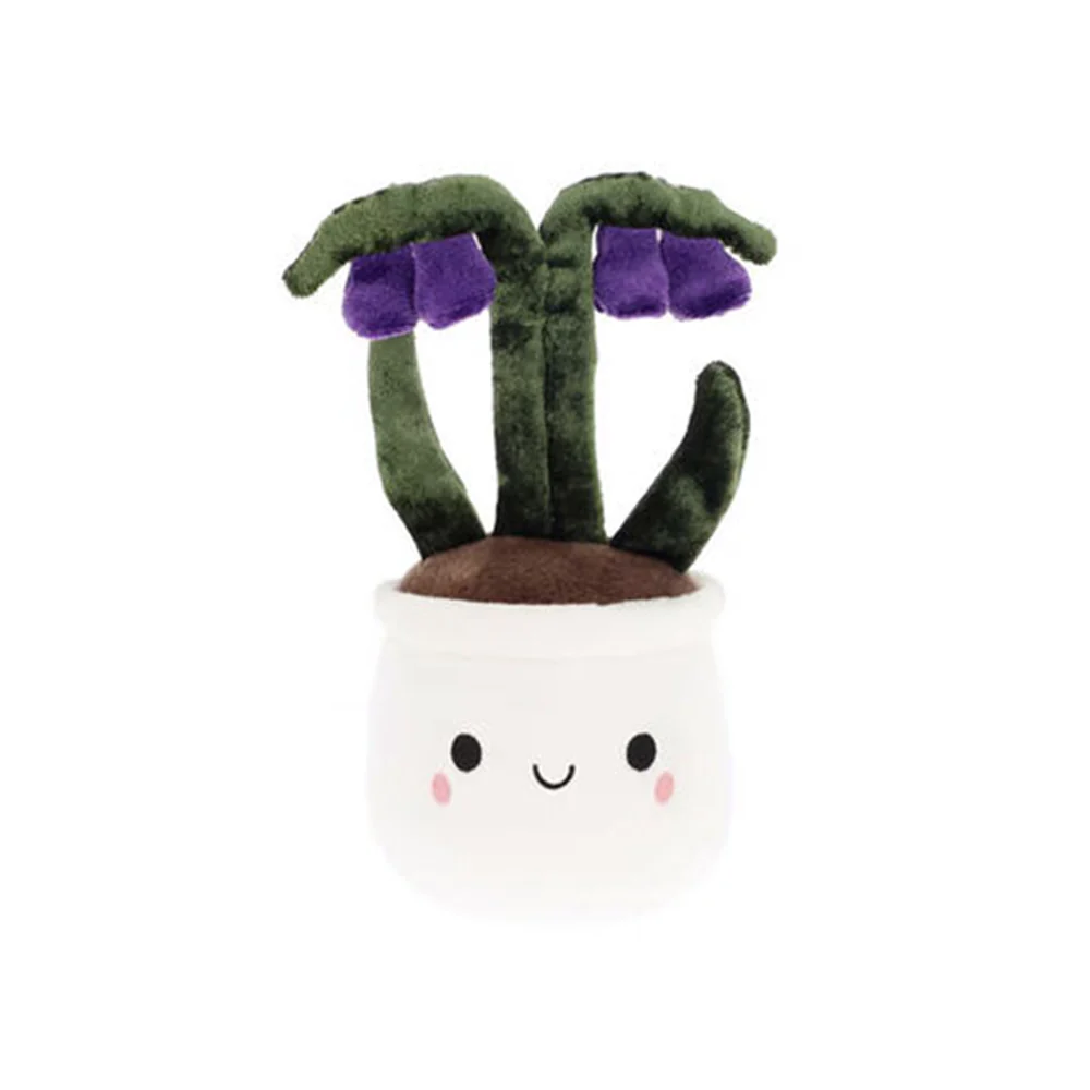 Keel Plant Bobballs  Flowers - Image 4