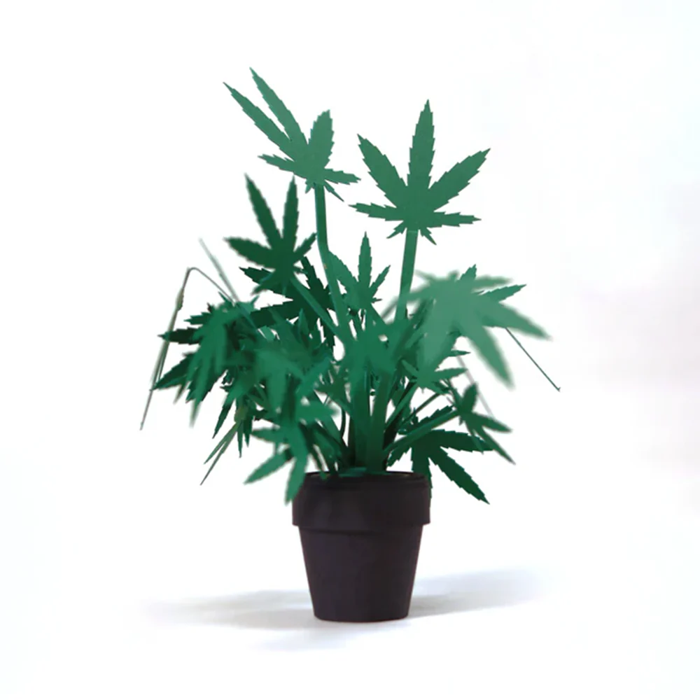 Pikkii Roll Your Own Weed Plants Paper Craft Kit - Image 5