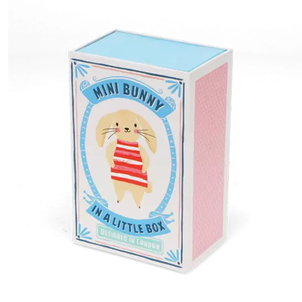 Rex Mini Bunny In A Little Box