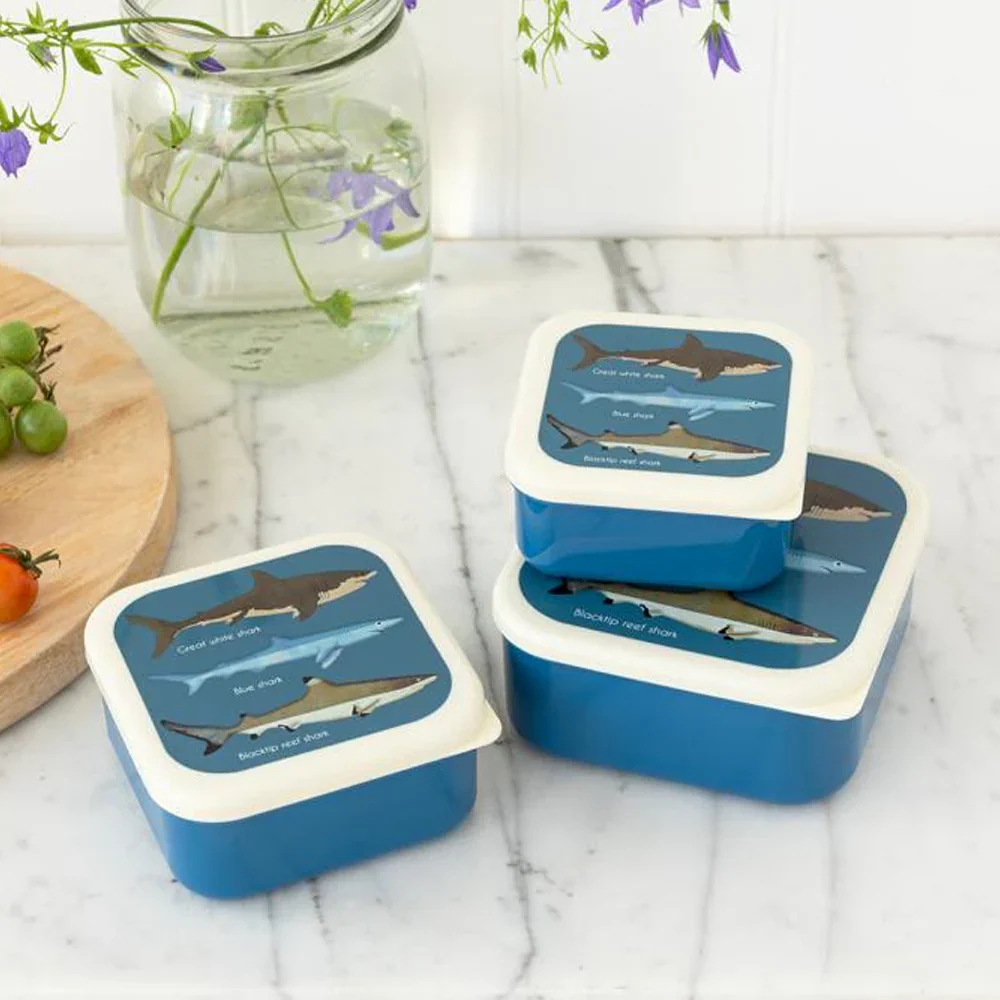 Rex Snack Box Sharks - Image 2