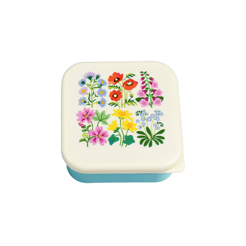 Rex Snack Box Wild Flowers - Image 2