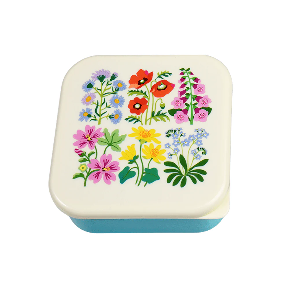 Rex Snack Box Wild Flowers - Image 3