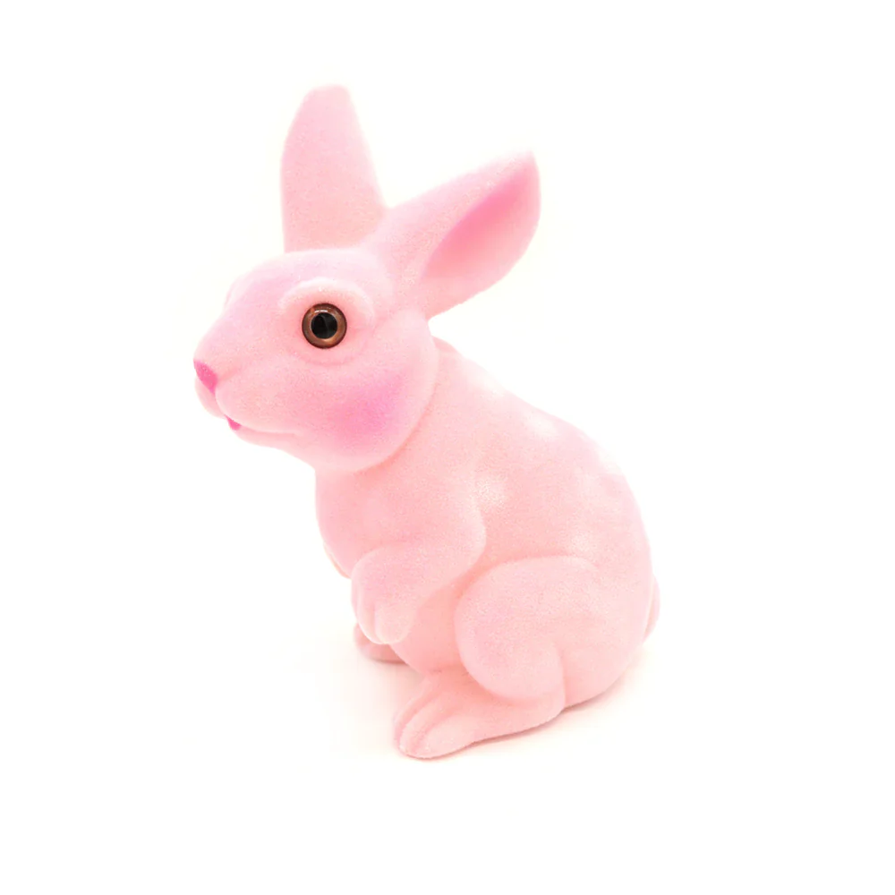 Seedling Bunny Money Box Assorted