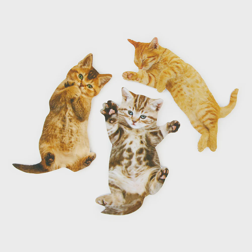 Suck Uk Purrfect Nails Cat Nail File Assorted - Image 3