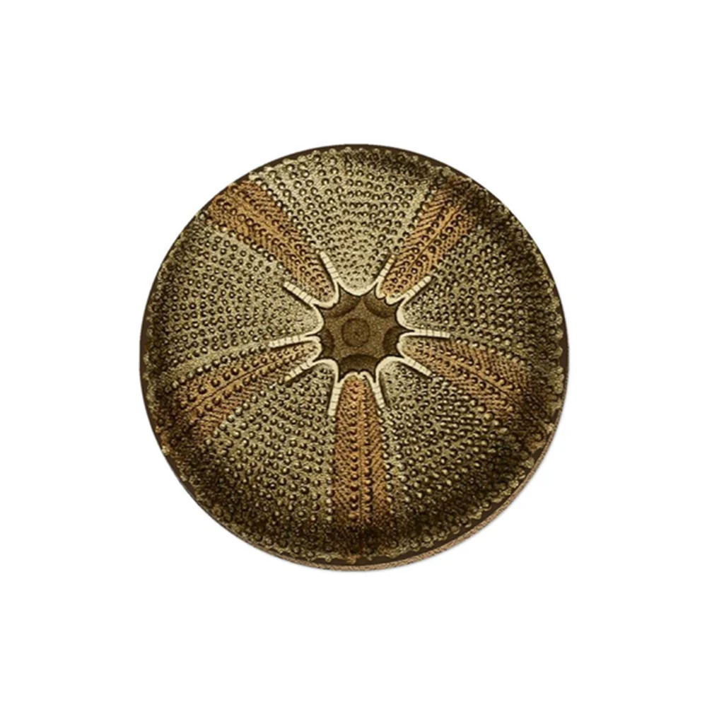 Taratara Coaster