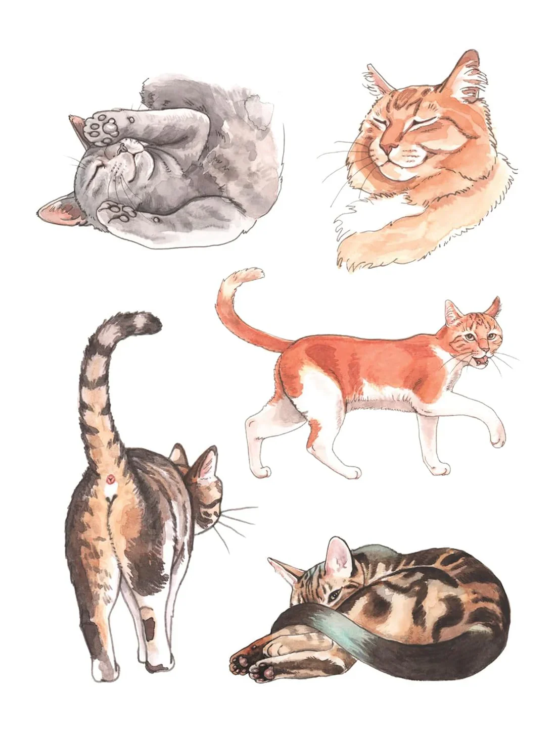 The Cat's Meow Sticker Book - Image 5